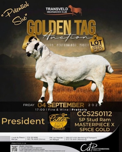 1 X MEATMASTER RECORDED RAM COLLEN BOERDERY