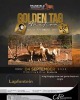 LOT 11B 1+1 X MEATMASTER NOT RECORDED GRADED EWE LAPFONTEIN MEATMASTERS - 2