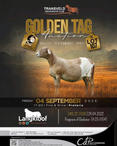 1 X MEATMASTER RECORDED EWE LANGKLOOF GAME FARM