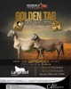 LOT 4 1+1 X MEATMASTER RECORDED GRADED EWE LANGKLOOF GAME FARM - 2