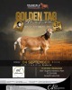 LOT 26 1 X MEATMASTER RECORDED GRADED RAM SILVRETTA MEATMASTERS - 2