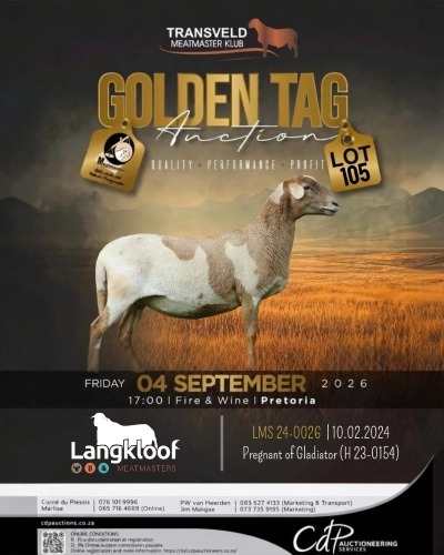 1 X MEATMASTER RECORDED EWE LANGKLOOF GAME FARM