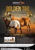 LOT 44 1+1 X MEATMASTER RECORDED GRADED EWE KERN MEATMASTERS - 3