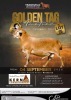 LOT 25 1 X MEATMASTER RECORDED GRADED RAM KERN MEATMASTERS - 3