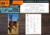 1 X HORSE AMORE FROST PRINCE S.A. BOERPERD COLT NABBA - LEANDRI DU TOIT
