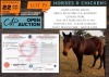 1 X HORSE GEEPAD NAOMI S.A. BOERPERD MARE NABBA - LEANDRI DU TOIT