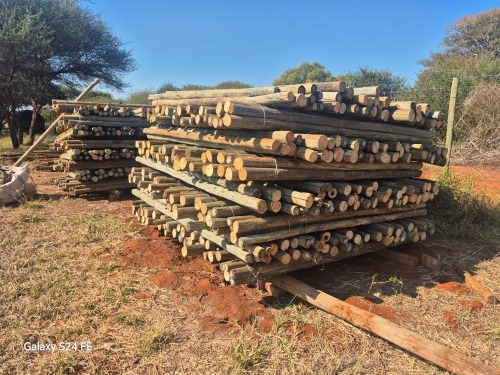 555 X Behandelde houtpale (111 bondels van 5 elk) (SLEGS OP KATALOGUS) (Per item to take the lot)