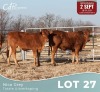 2 X BONSMARA & BORAN KRUIS VERSE Louw Snyman (Per animal to take the lot)