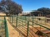 16 X Beeshekke CdP Auctioneers - 3