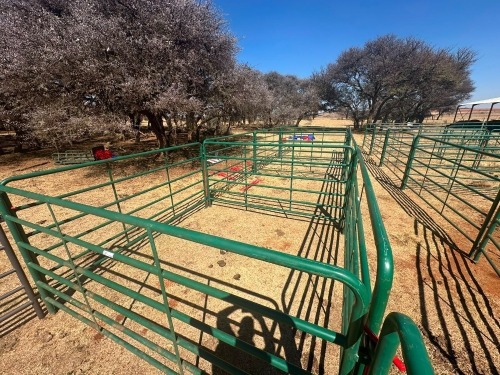16 X Beeshekke CdP Auctioneers