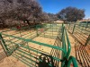 16 X Beeshekke CdP Auctioneers