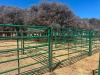 16 X Beeshekke CdP Auctioneers - 2