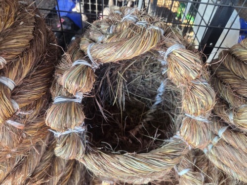 3 X SMALL NEST - TIEGERPOORT (Per animal to take the lot)