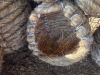 3 X MEDIUM NEST - TIEGERPOORT (Per animal to take the lot)