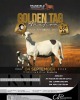LOT 46 1+1 X MEATMASTER RECORDED GRADED EWE KROON MEATMASTERS - 2