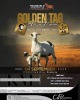 LOT 46 1+1 X MEATMASTER RECORDED GRADED EWE KROON MEATMASTERS - 3