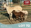 1+2 X MEATMASTER Louw