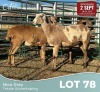 3 X MEATMASTER Louw