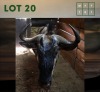 1X Bluewildebeest M:1