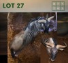 1X Bluewildebeest M:1