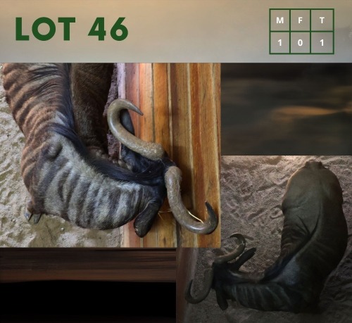 1X Bluewildebeest M:1