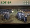 2X Bluewildebeest V/F:2 (Per Piece to take the lot/Per stuk om lot te neem)