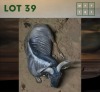 1X Bluewildebeest M:1