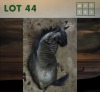 1X Bluewildebeest M:1