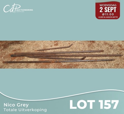 1 X Verskillende lengte koevoette Nico Grey