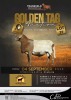 LOT 37 WITHDRAWN - 1 X MEATMASTER RECORDED RAM PARADYS MEATMASTERS - 2