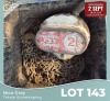 1 X Chain block 5ton Nico Grey