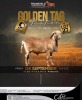 LOT 27 1 X MEATMASTER RECORDED GRADED RAM JACO VD MERWE BOERDERY - 2