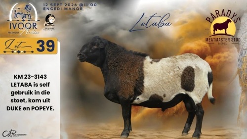 1 X MEATMASTER RECORDED RAM CHRISTIAAN & CHANE SMIT - Paradys Meatmasters - Memel , Vrystaat