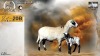 1+1 X MEATMASTER RECORDED EWE HEIN NAGEL - Nagel Meatmasters - Ladismith , Wes-Kaap
