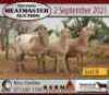 3 X OOI/EWE MEATMASTER KERN MEATMASTERS (PER PIECE TO TAKE THE LOT)