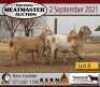 3 X OOI/EWE MEATMASTER KERN MEATMASTERS (PER PIECE TO TAKE THE LOT) - 3
