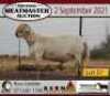 1 X RAM MEATMASTER KERN MEATMASTERS - 2