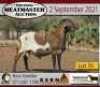 1 X RAM MEATMASTER KERN MEATMASTERS - 3