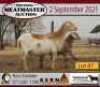 1 + 1 X OOI/EWE MEATMASTER KERN MEATMASTERS - 2