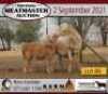 3 + 3 X OOI/EWE MEATMASTER KERN MEATMASTERS (PER PIECE TO TAKE THE LOT) - 3
