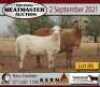 3 + 3 X OOI/EWE MEATMASTER KERN MEATMASTERS (PER PIECE TO TAKE THE LOT) - 4