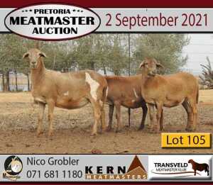 3 X OOI/EWE MEATMASTER KERN MEATMASTERS (PER PIECE TO TAKE THE LOT)