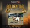 LOT 5 1 X MEATMASTER RECORDED GRADED PREGNANT EWE HAKUNA MATATA