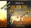 LOT 10 1 X MEATMASTER RECORDED GRADED PREGNANT EWE DAGGER BOYZ MEATMASTER