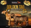 LOT 15 1+1 X MEATMASTER RECORDED GRADED PREGNANT EWE COLLEN BOERDERY