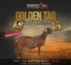 LOT 16 1 X MEATMASTER RECORDED GRADED EWE DINOKENG MEATMASTERS