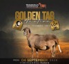 LOT 20 1 X MEATMASTER NOT RECORDED GRADED EWE WILD & VRY
