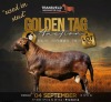 LOT 32 WITHDRAWN - 1 X MEATMASTER RECORDED RAM COLLEN BOERDERY