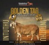 LOT 33 1 X MEATMASTER RECORDED GRADED RAM KROON MEATMASTERS
