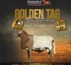 LOT 37 WITHDRAWN - 1 X MEATMASTER RECORDED RAM PARADYS MEATMASTERS